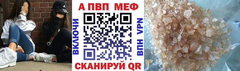 APVP СК Выборг