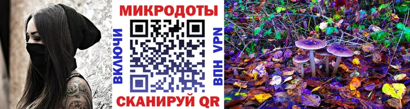 Купить  Выборг  Галлюциногенные грибы MAGIC MUSHROOMS 