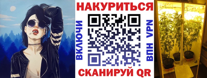 Шишки марихуана сатива  Купить  Выборг 